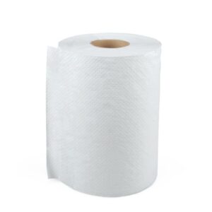 Standard Paper Towel Roll - 10" x 800' - White