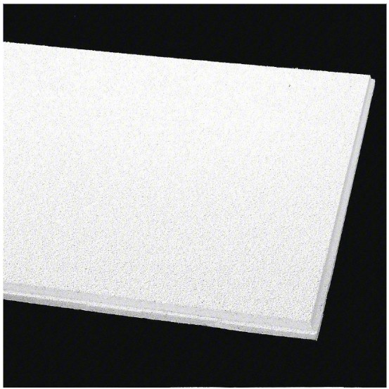 Ceiling Tile – 24 x 48 in