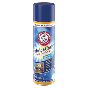 Fabric & Carpet Deodorizer – Foam – 15 oz