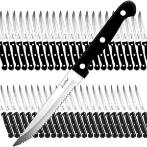 Steak Knife - Set of 48